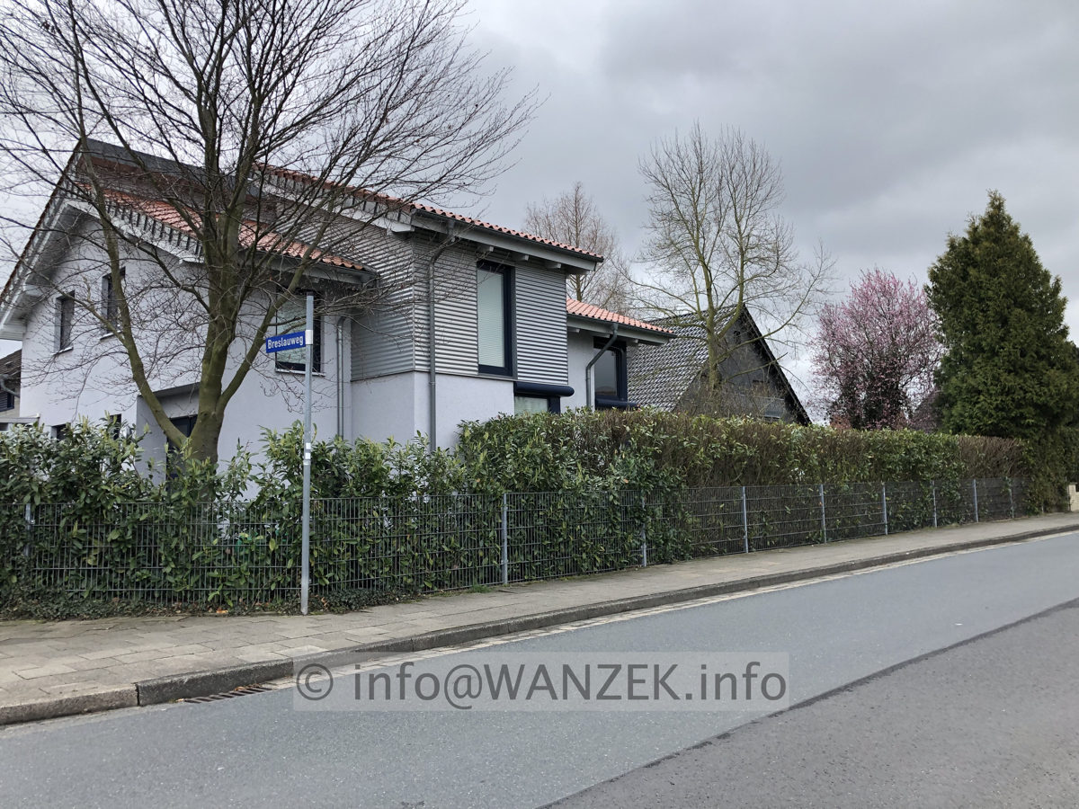 Hecke Kirschlorbeer Herbergii 002.JPG